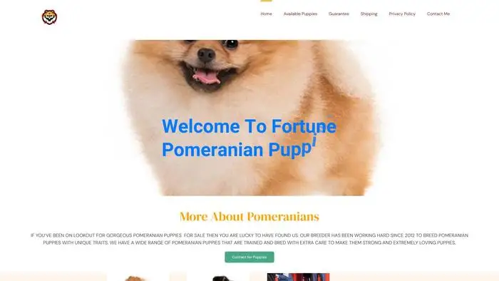 Screenshot of