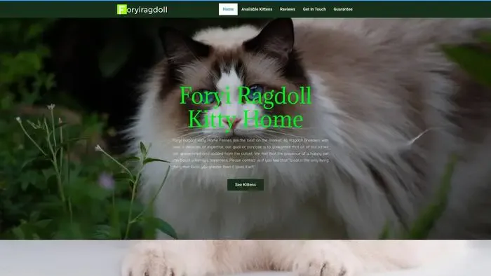 Screenshot of