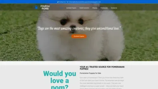 Screenshot of||