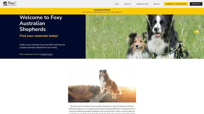 Screenshot of
