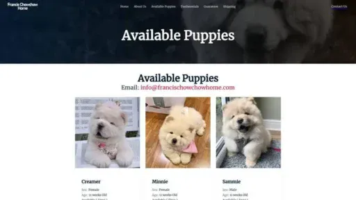 Screenshot of