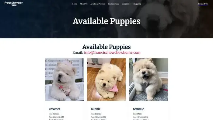 Screenshot of