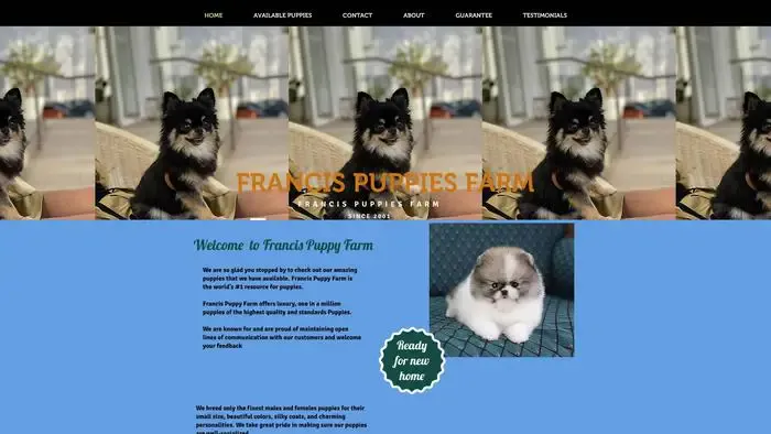 Screenshot of