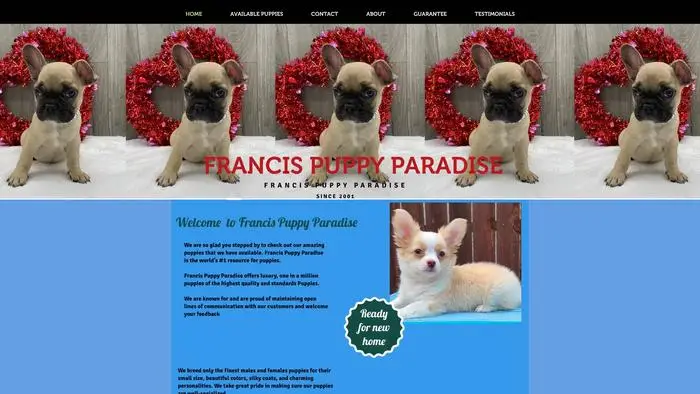 Screenshot of