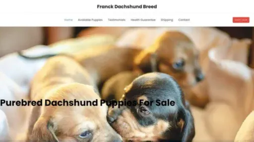 Screenshot of||
