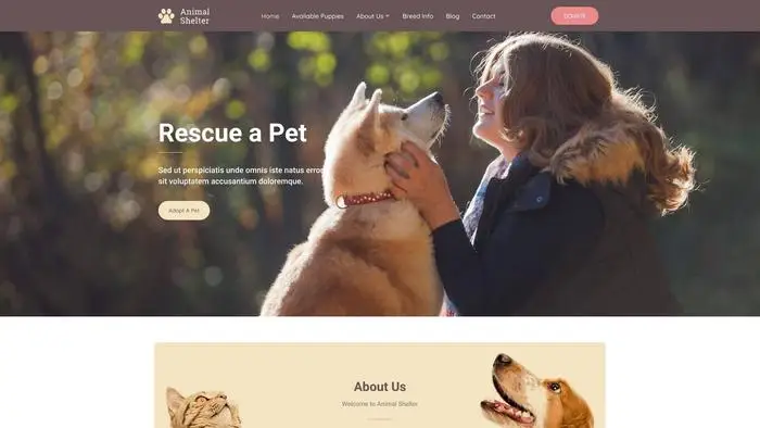 Screenshot of