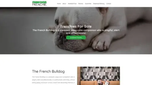 Screenshot of