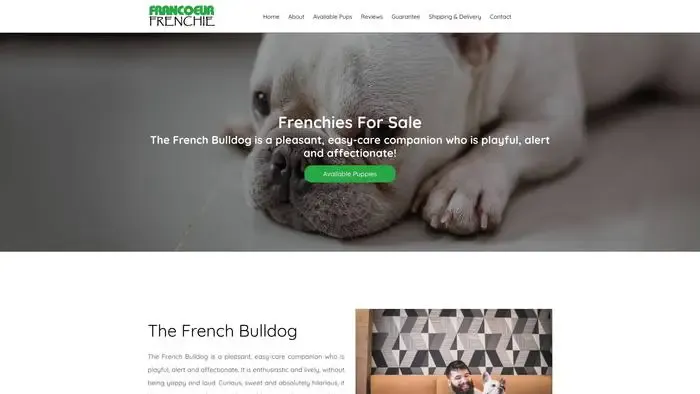 Screenshot of