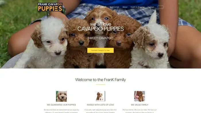 Screenshot of