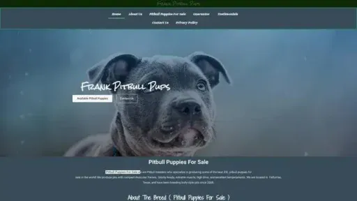 Screenshot of