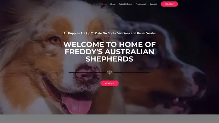 Screenshot of