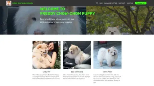 Screenshot of