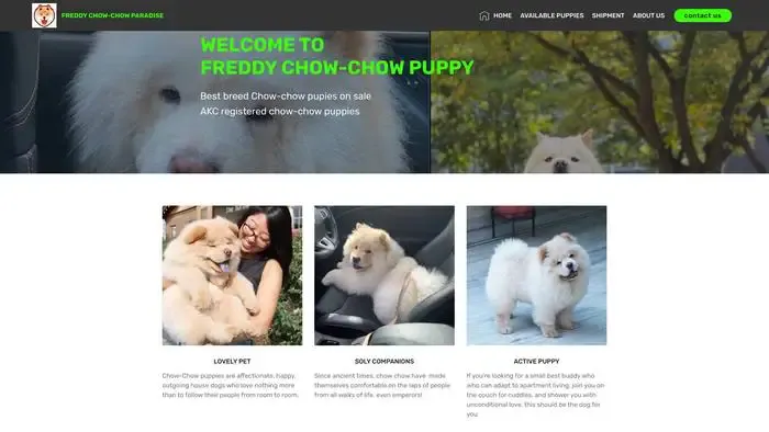 Screenshot of