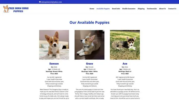 Screenshot of