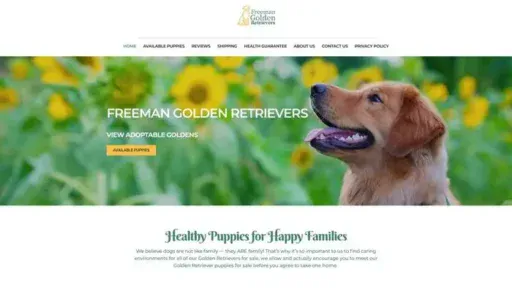 Screenshot of