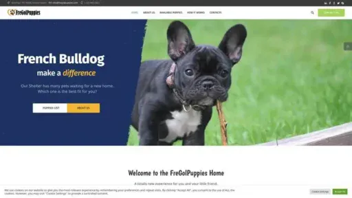 Screenshot of