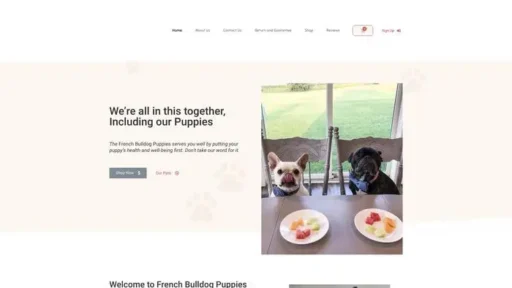 Screenshot of
