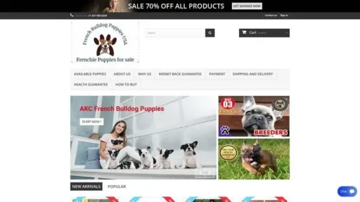 Screenshot of