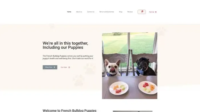 Screenshot of