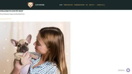 Screenshot of