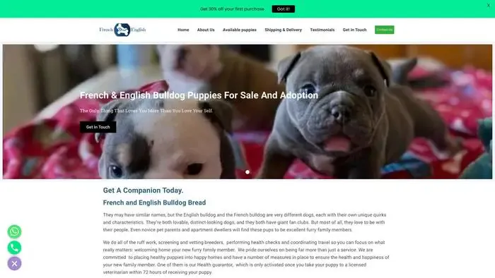 Screenshot of