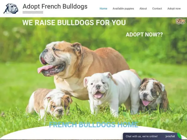 Screenshot of
