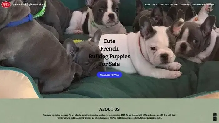 Screenshot of