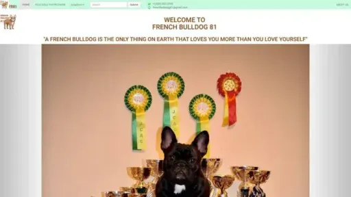Screenshot of