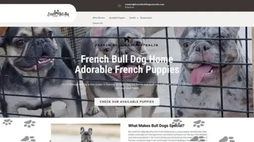 Screenshot of