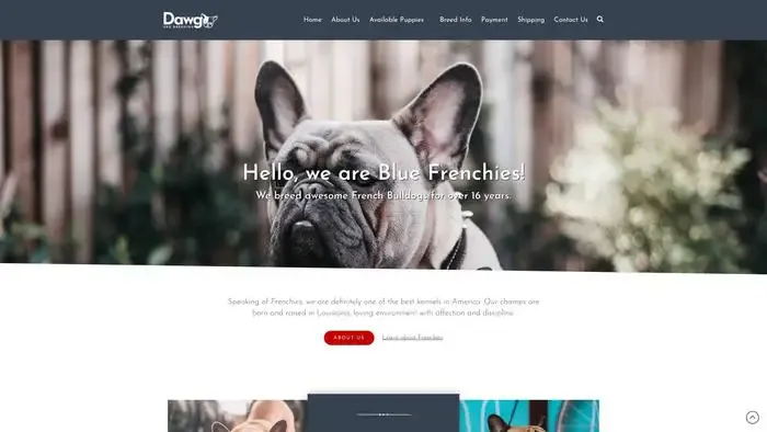 Screenshot of