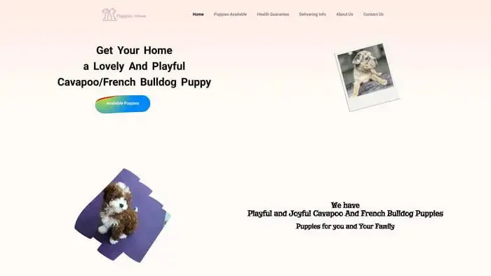Screenshot of