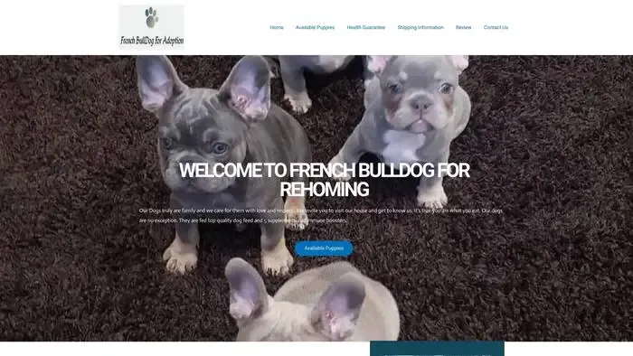 Screenshot of