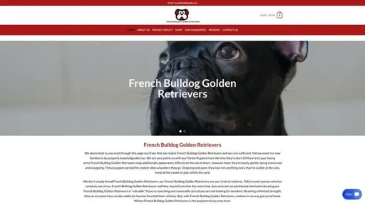 Screenshot of