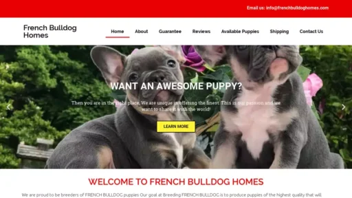 Screenshot of
