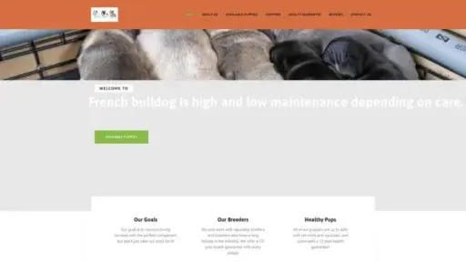 Screenshot of