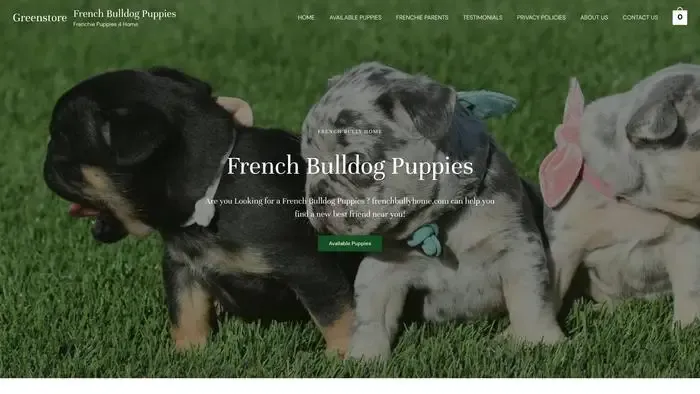 Screenshot of