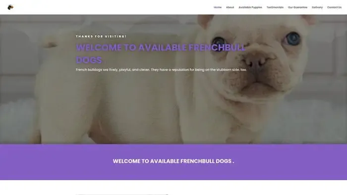 Screenshot of