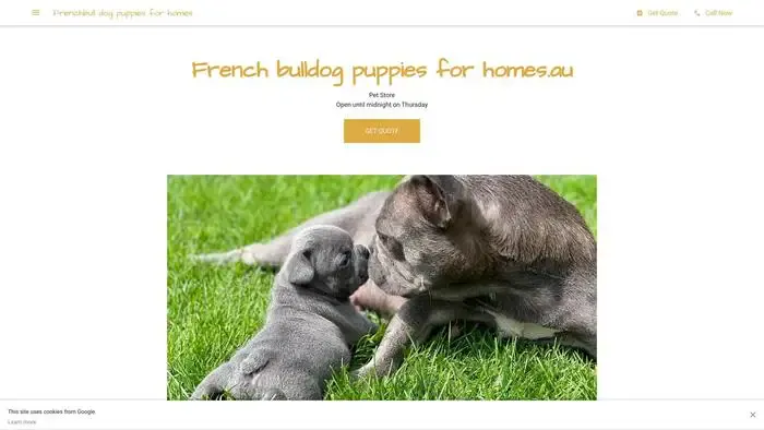 Screenshot of