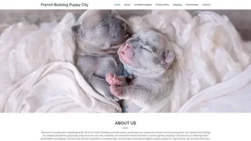 Screenshot of