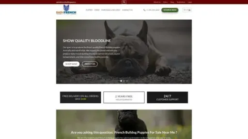 Screenshot of