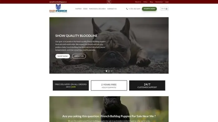 Screenshot of
