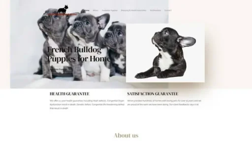 Screenshot of