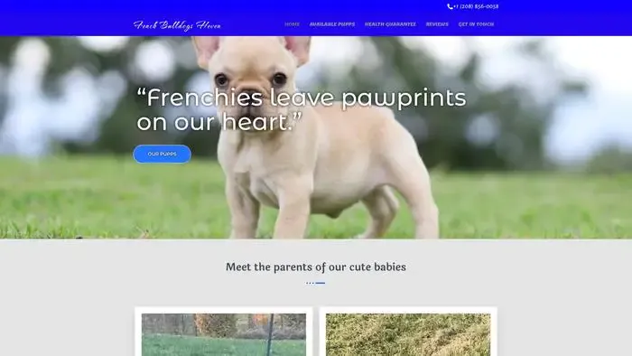 Screenshot of