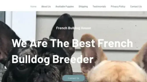 Screenshot of