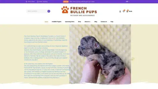Screenshot of