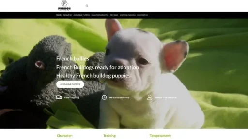 Screenshot of