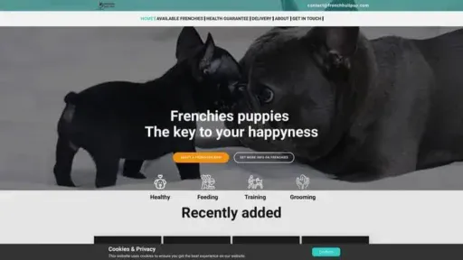 Screenshot of