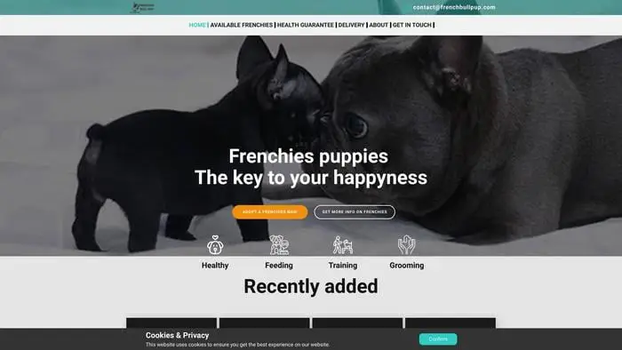 Screenshot of