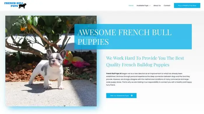 Screenshot of