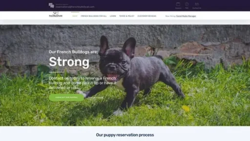 Screenshot of